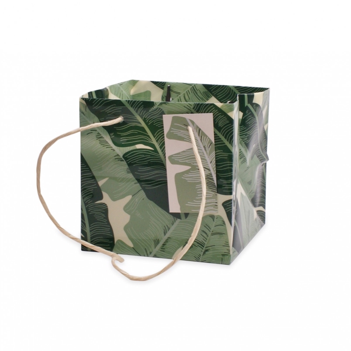 <h4>Tassen Urban Jungle 16*16*16cm</h4>
