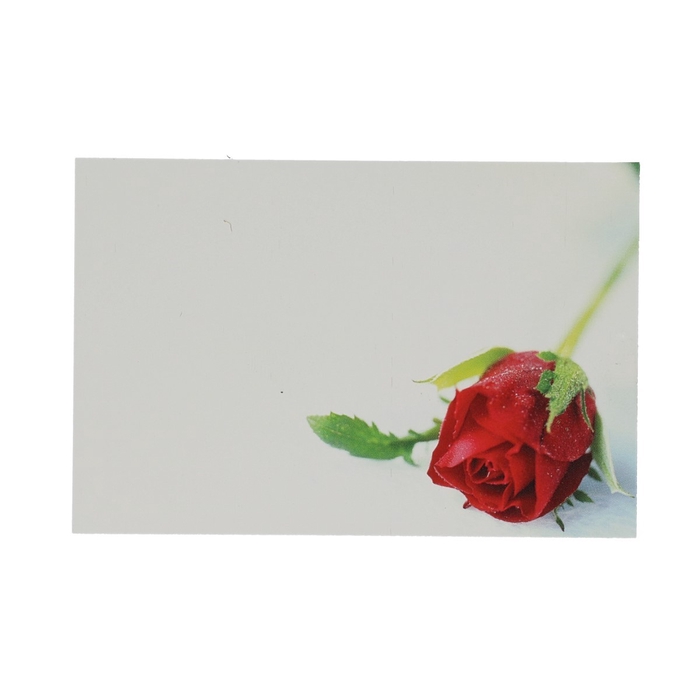 <h4>Labels Kaart 9*6cm x50 Red Rosebud</h4>