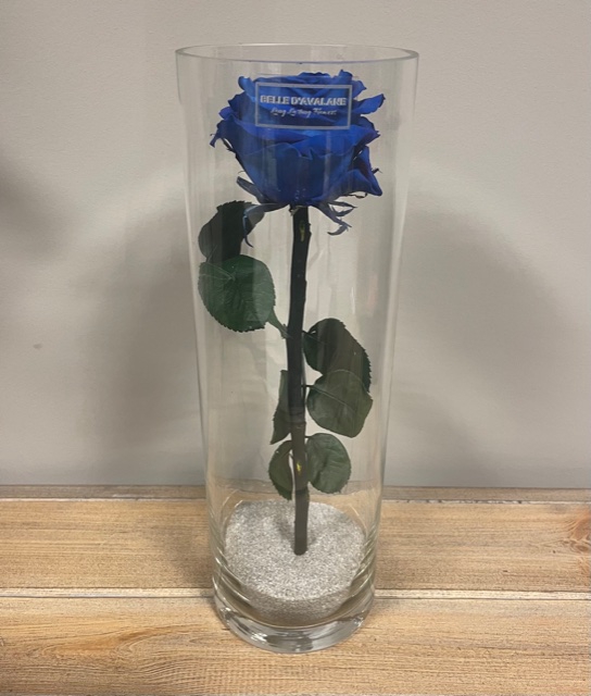 <h4>Cilinder d10x30h blauw glas</h4>