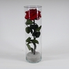 Cilinder d10x30h rood glas