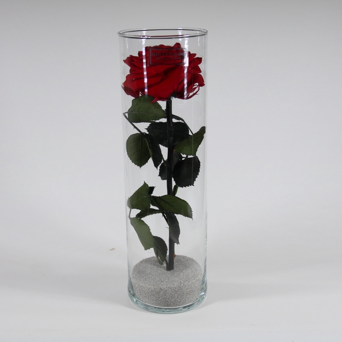 <h4>Cilinder d10x30h rood glas</h4>