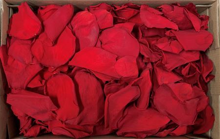 <h4>Pr 1.5 Petals 100gr Red-02</h4>
