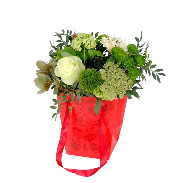 <h4>Bag Floral cardboard 16x12xH18cm red</h4>