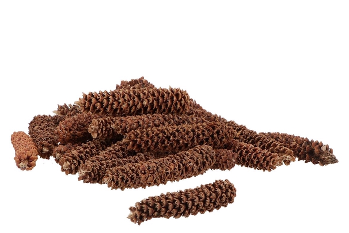<h4>Natuur Geraspte Spar In Net Naturel P/1kg</h4>
