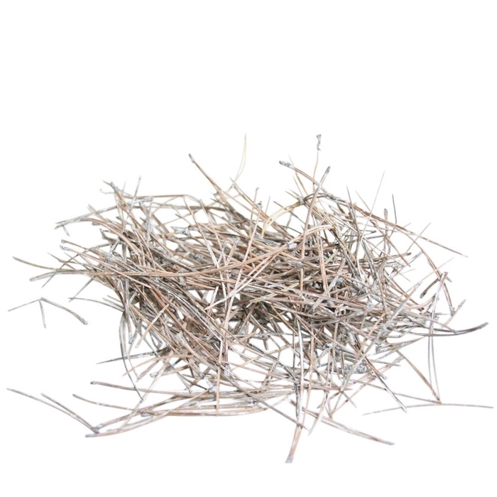 <h4>Droogdeco Dennennaalden 1kg</h4>