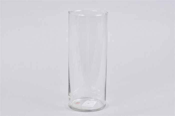 <h4>Glas Cilinder Silo 10x25cm</h4>
