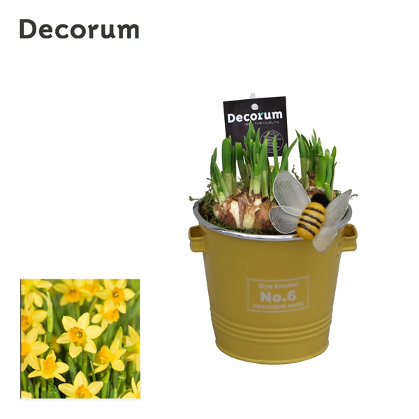 <h4>Narcis Colourful Bucket HL16583N</h4>