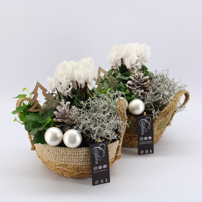 <h4>XMAS-23081 Kerst creatie</h4>