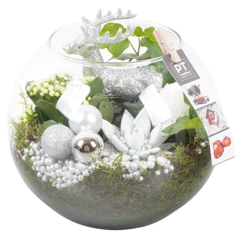 <h4>PTCHS7319 Arrangementen Kerst</h4>