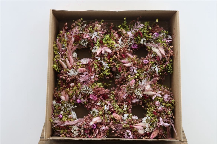 <h4>Wr Bloom 5 20cm Pink Yellow White</h4>