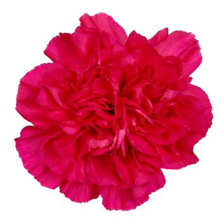 <h4>Di St Mandalay</h4>