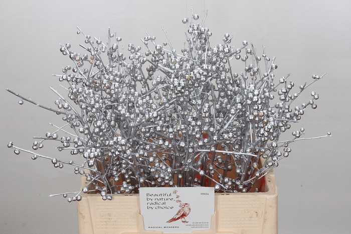 <h4>Ilex paint silver</h4>