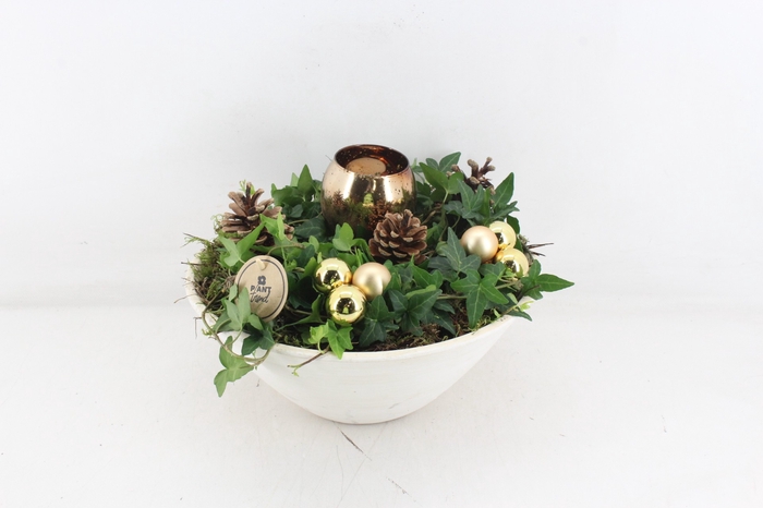 <h4>arr2 PL - Ebbischaal white hed. goud</h4>
