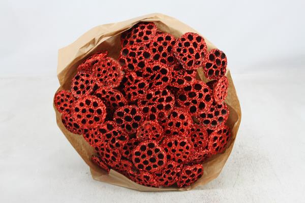 <h4>Droog Lotus Rood Glit X40</h4>