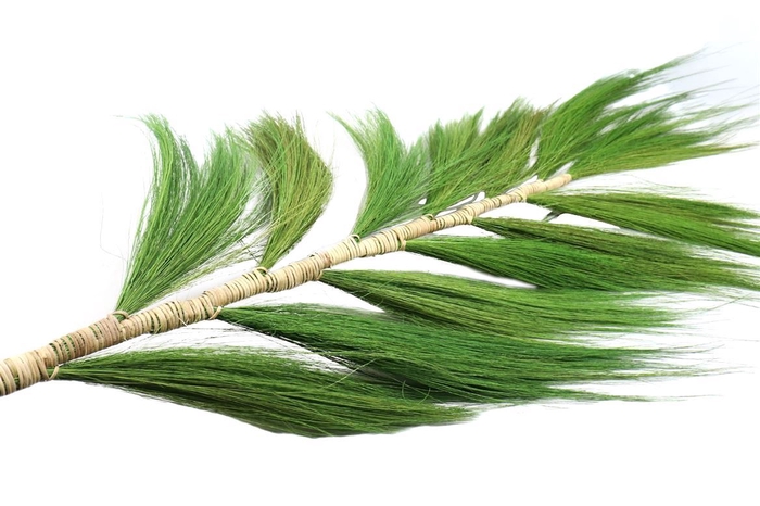 <h4>Deco Stem Feather Grain Wide 210cm Apple Green</h4>
