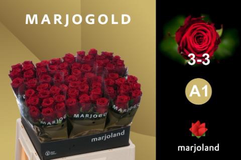 <h4>R GR RED NAOMI!</h4>