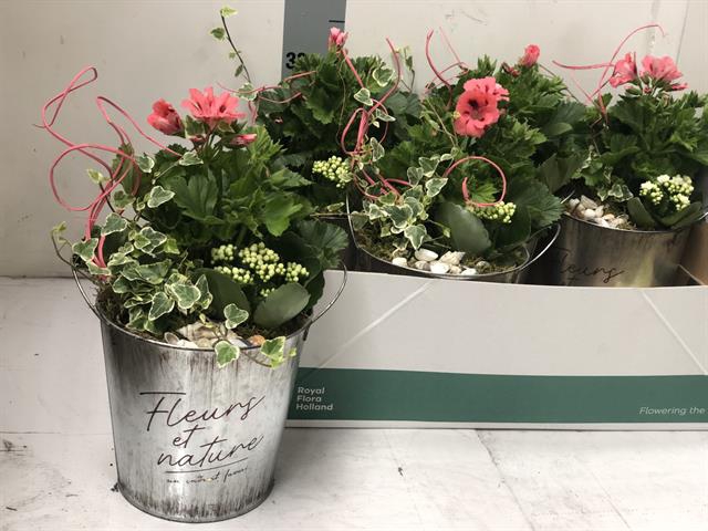 <h4>ARR TUINPLANTEN</h4>