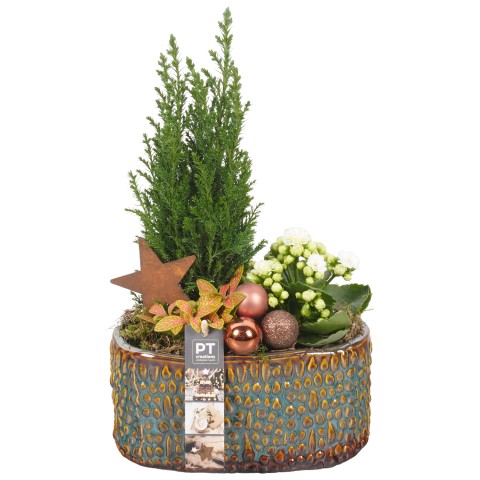 <h4>PTCHB6054 Arrangementen Kerst</h4>