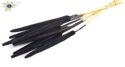 <h4>Babala on natural stem black</h4>