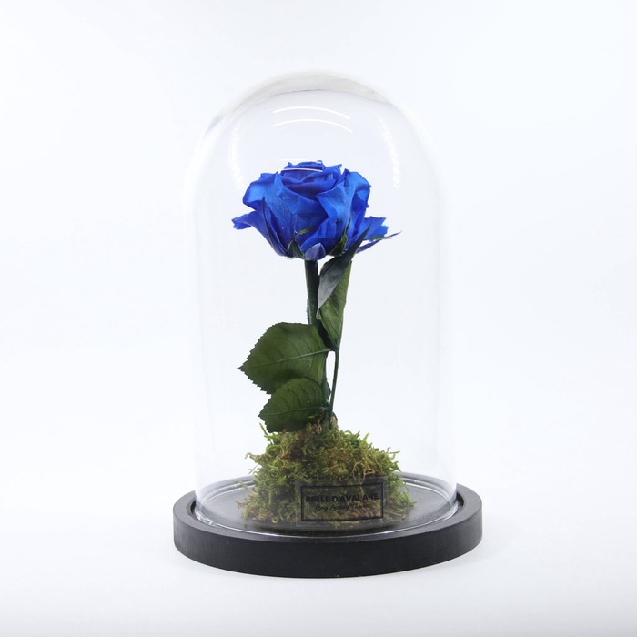 <h4>Stolp d12x20h blauw stand. glas</h4>