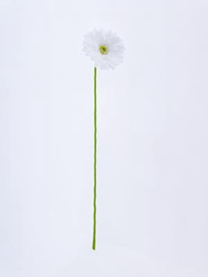 <h4>Af Gerbera 62cm White</h4>