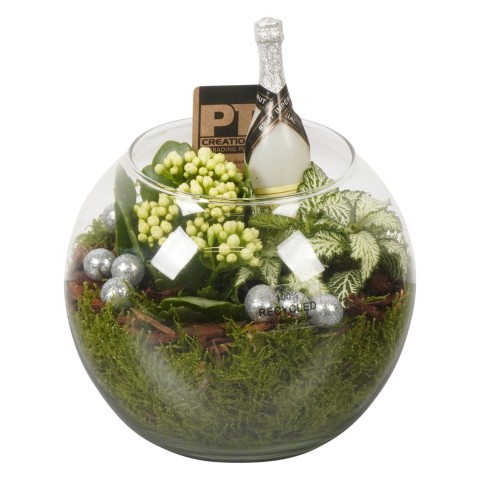 <h4>PTHN7260 Arrangementen kamerplanten</h4>