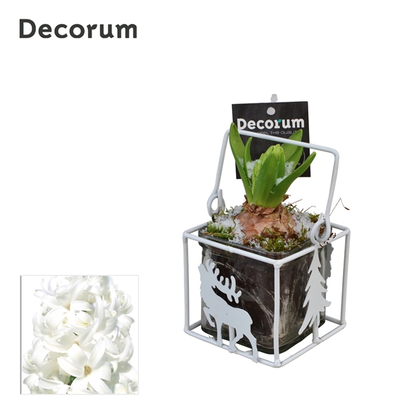 <h4>Hyacint Christmas Lantern HL10022WP [BLACK & WHITE]</h4>