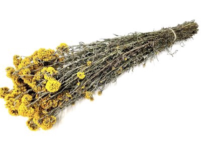 <h4>Sanfordi per bunch naturel</h4>