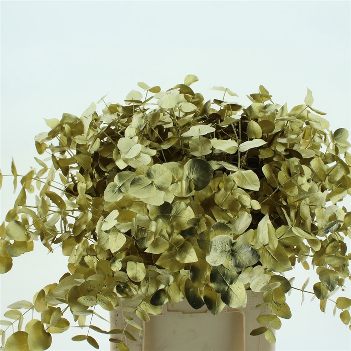 <h4>Euca Cinerea Klb Goud 200grams</h4>