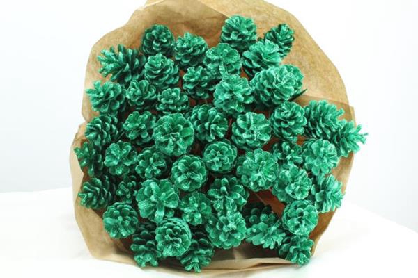 <h4>Droog Denn Groen + Glitter X40</h4>
