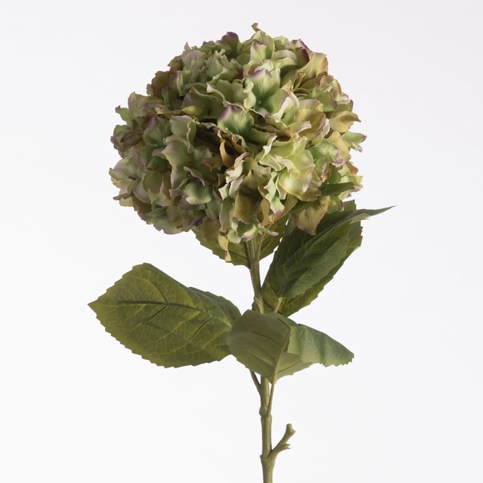 <h4>Af Hydrangea L102cm Green</h4>
