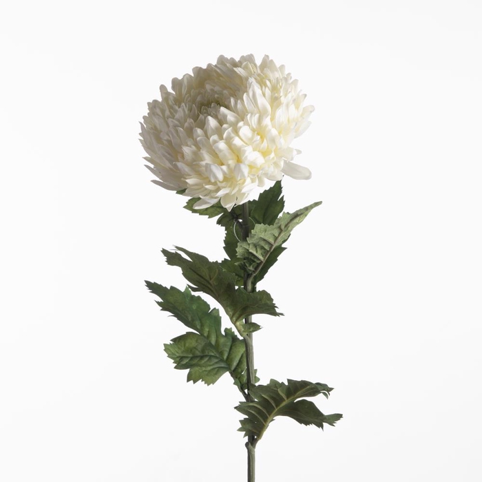 <h4>Af Chrysanthemum L75cm Cream</h4>