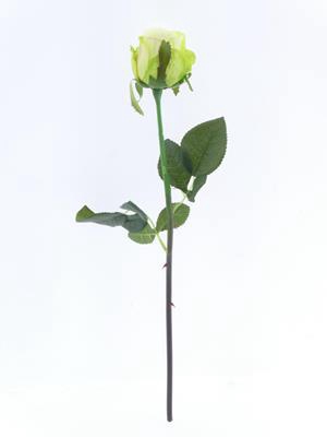 <h4>Af Oxford Rose Bud Light Green</h4>