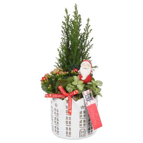 <h4>BMXM3463 Arrangementen Kerst</h4>