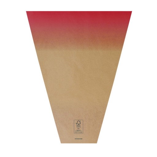 <h4>Hoezen Kraft Elm 50*30*10cm x50</h4>