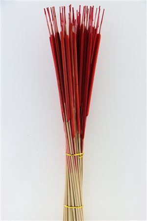 <h4>Dried Typha Red 50pcs Bunch</h4>