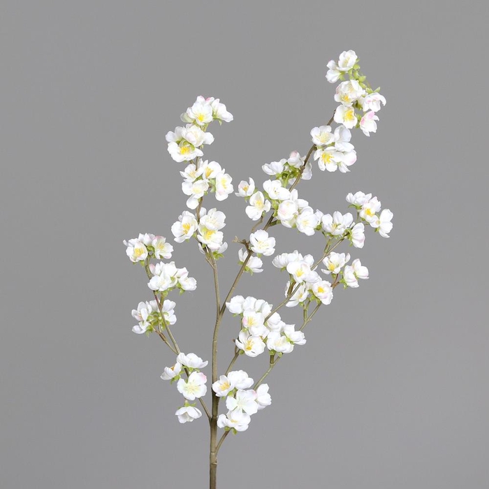 <h4>Af Kersenbloesem L98cm Creme</h4>
