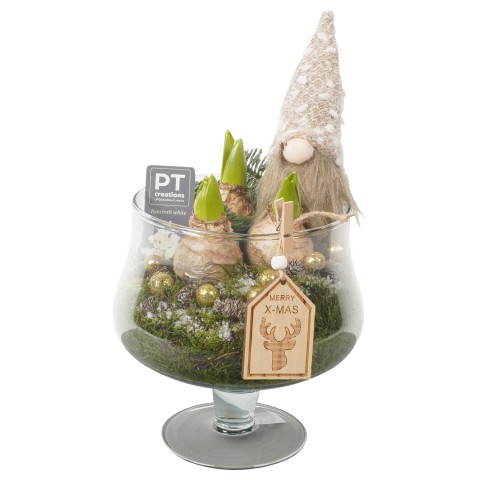 <h4>PTHCC8707 Arrangementen Kerst</h4>