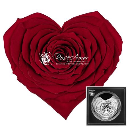 <h4>Preserved rosa corazon red01</h4>