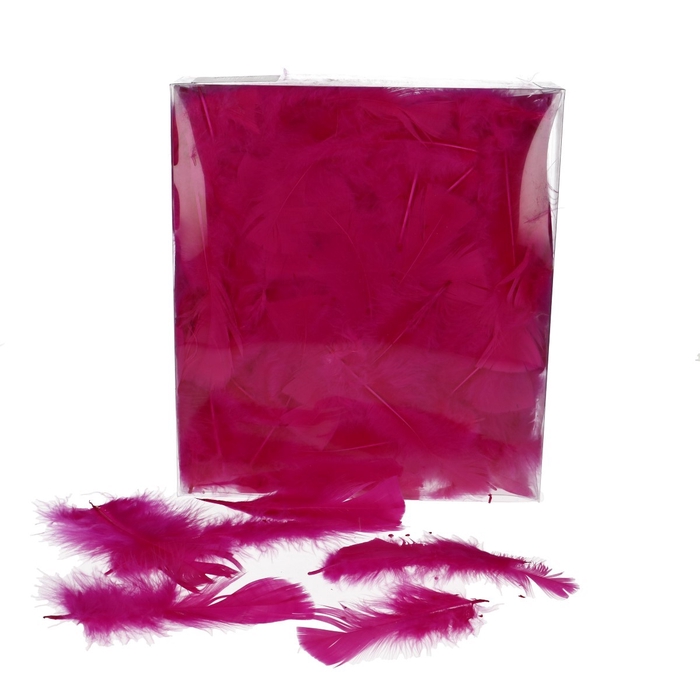<h4>Veren Kalkoenveren 45g</h4>
