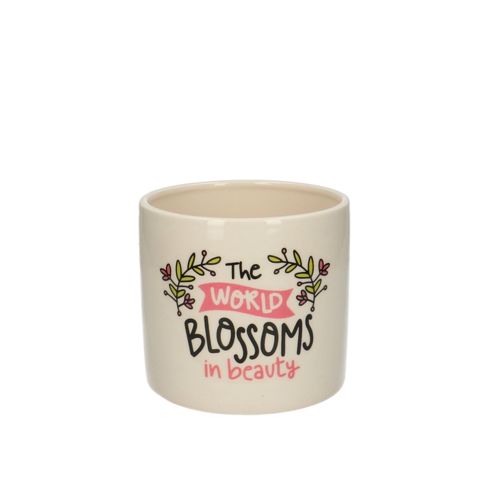 <h4>Sale Blossom pot d13*11.5cm</h4>