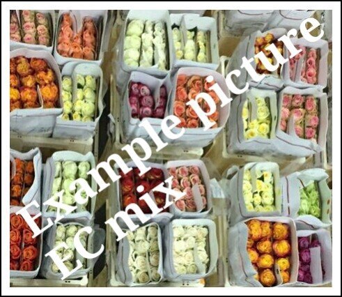 <h4>Rosa ec mix in box</h4>