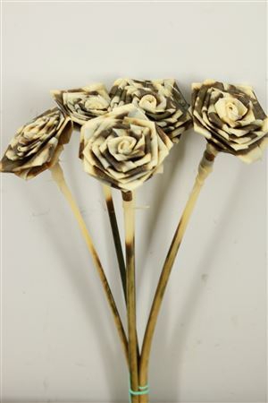 <h4>Pres Aspidistra Rose Small Bleached Bunch</h4>