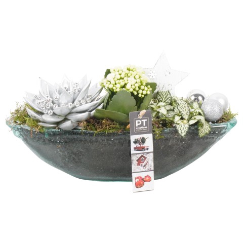 <h4>PTCHS7303 Arrangementen Kerst</h4>