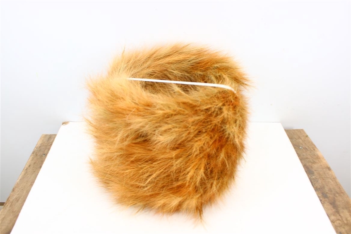 <h4>Wr Foxtail 30cm Natural</h4>