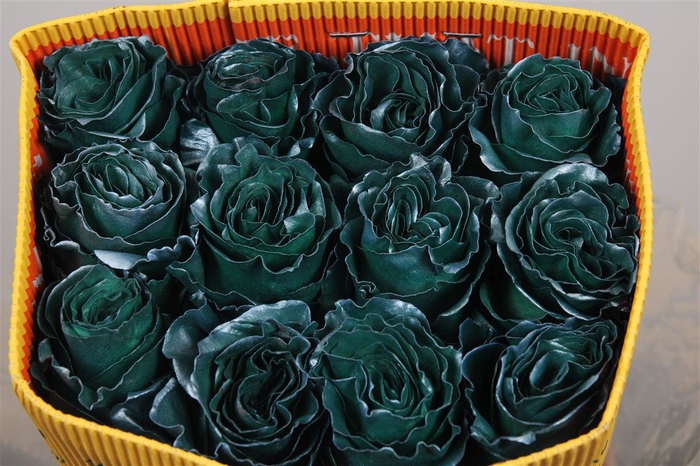 <h4>R Gr Nacar Dark Green Ec</h4>