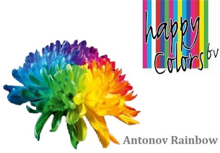 <h4>Chr G Antonov Rainbow</h4>