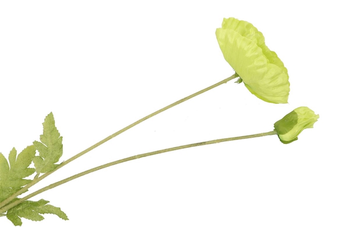 <h4>Silk Papaver 2x Green 96cm</h4>