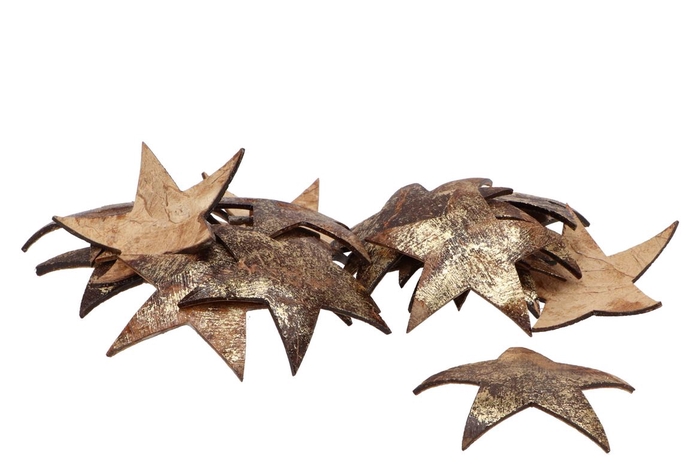 <h4>Nature coconut shell star gold 10cm set of 20</h4>