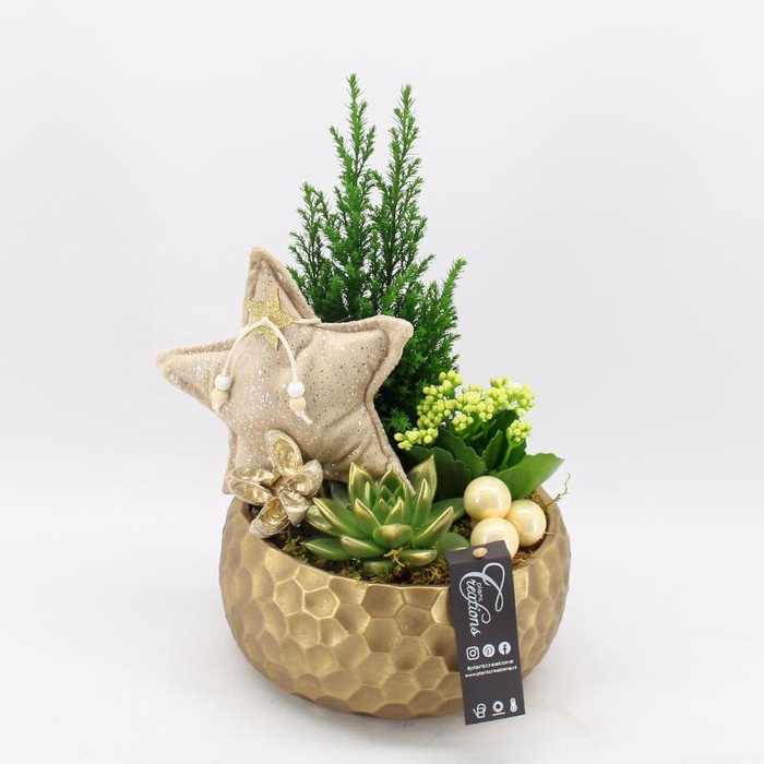 <h4>XMAS-23120 Kerst creatie</h4>